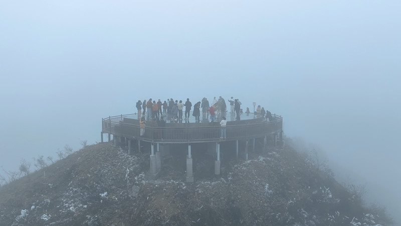 ���ɽ����ɭ�ֹ�԰����ڡ��ɽӭ�´� ��̬������ζŨ